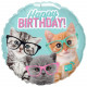 Шар из фольги HB Котята в очках