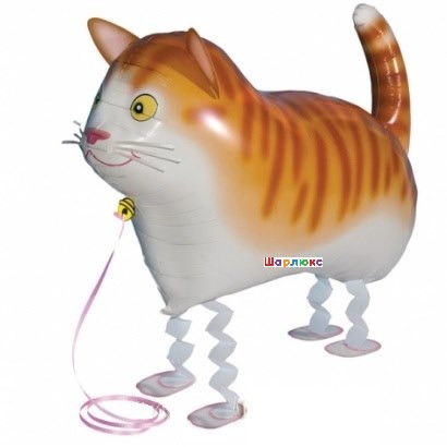 Шар Питомец Котик