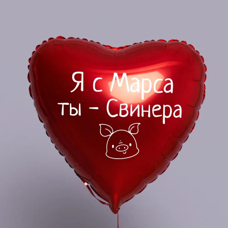 Шар из фольги Я с Марса, ты - Свинера