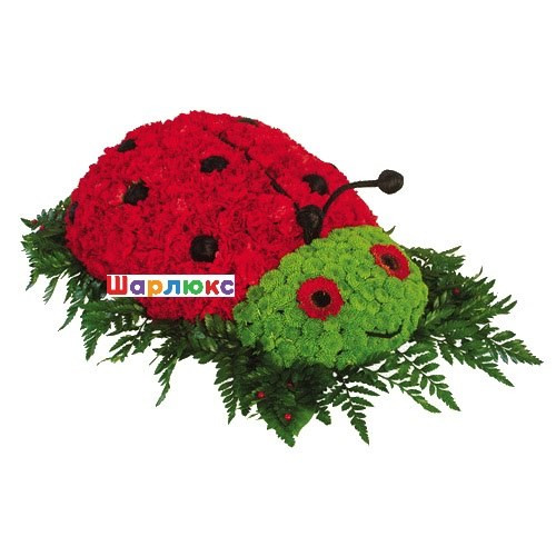 Игрушка из цветов Божья коровка